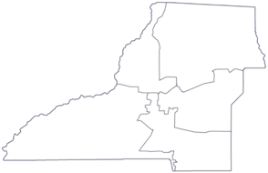 Leon County District Map